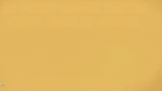 If Coffee Had a Personality, Here’s What Yours Says About You ☕😄