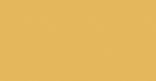 🧠 The Secret Behind Mushroom Coffee: Why Everyone’s Ditching Their Regular Cup